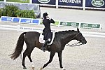 WEG-Dressage-8-25-14-GPTeam-0004007-TinaKonyot-CalectoV-USA-DDeRosaPhoto