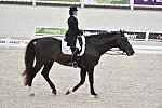 WEG-Dressage-8-25-14-GPTeam-0004010-TinaKonyot-CalectoV-USA-DDeRosaPhoto