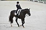 WEG-Dressage-8-25-14-GPTeam-0004016-TinaKonyot-CalectoV-USA-DDeRosaPhoto