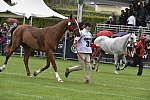 WEG1-EnduranceJog-8-27-14-0000536-DDeRosaPhoto