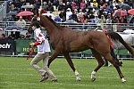 WEG1-EnduranceJog-8-27-14-0000538-DDeRosaPhoto