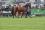WEG1-EnduranceJog-8-27-14-0000566-DDeRosaPhoto