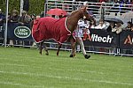 WEG1-EnduranceJog-8-27-14-0000577-DDeRosaPhoto