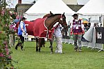 WEG1-EnduranceJog-8-27-14-0000583-DDeRosaPhoto