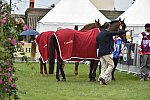 WEG1-EnduranceJog-8-27-14-0000585-DDeRosaPhoto