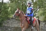 WEG-EnduranceRace-8-28-14-0002890-DDeRosaPhoto