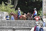 WEG-EnduranceRace-8-28-14-0002903-DDeRosaPhoto
