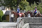 WEG-EnduranceRace-8-28-14-0002909-DDeRosaPhoto