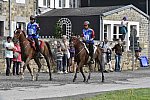 WEG-EnduranceRace-8-28-14-0002941-DDeRosaPhoto