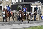 WEG-EnduranceRace-8-28-14-0002942-DDeRosaPhoto