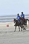 WEG-EnduranceRace-8-28-14-0004245-DDeRosaPhoto