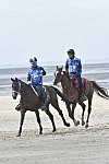 WEG-EnduranceRace-8-28-14-0004251-DDeRosaPhoto
