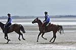 WEG-EnduranceRace-8-28-14-0004286-DDeRosaPhoto