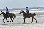 WEG-EnduranceRace-8-28-14-0004290-DDeRosaPhoto