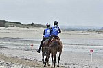 WEG-EnduranceRace-8-28-14-0004296-DDeRosaPhoto