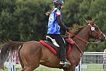 WEG-EnduranceRace-8-28-14-0005005-DDeRosaPhoto