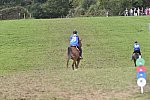 WEG-EnduranceRace-8-28-14-0005015-DDeRosaPhoto