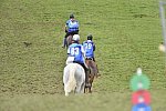 WEG-EnduranceRace-8-28-14-0005021-DDeRosaPhoto