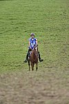 WEG-EnduranceRace-8-28-14-0005062-DDeRosaPhoto