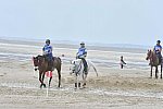 WEG-EnduranceRace-8-28-14-0004554-DDeRosaPhoto