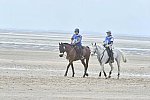 WEG-EnduranceRace-8-28-14-0004570-DDeRosaPhoto