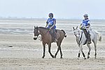 WEG-EnduranceRace-8-28-14-0004574-DDeRosaPhoto