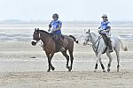 WEG-EnduranceRace-8-28-14-0004575-DDeRosaPhoto