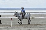 WEG-EnduranceRace-8-28-14-0004598-DDeRosaPhoto