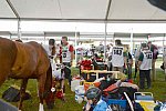 WEG2-Endurance-8-28-14-6544-DDeRosaPhoto