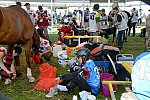 WEG2-Endurance-8-28-14-6551-DDeRosaPhoto