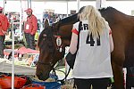 WEG2-Endurance-8-28-14-6557-DDeRosaPhoto