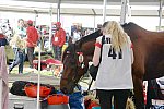 WEG2-Endurance-8-28-14-6558-DDeRosaPhoto