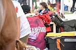 WEG2-Endurance-8-28-14-6569-DDeRosaPhoto