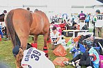 WEG2-Endurance-8-28-14-6581-DDeRosaPhoto