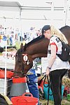 WEG2-Endurance-8-28-14-6591-DDeRosaPhoto