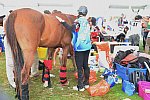 WEG2-Endurance-8-28-14-6593-DDeRosaPhoto