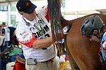 WEG2-Endurance-8-28-14-6632-DDeRosaPhoto