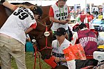 WEG2-Endurance-8-28-14-6637-DDeRosaPhoto