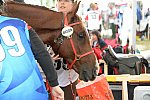 WEG2-Endurance-8-28-14-6644-DDeRosaPhoto