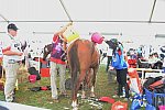 WEG2-Endurance-8-28-14-6651-DDeRosaPhoto