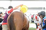 WEG2-Endurance-8-28-14-6661-DDeRosaPhoto
