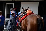 WEG-Endurance-8-24-14-4448-KelseyRussell-MyWildIrishGold-DDeRosaPhoto