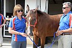 WEG-Endurance-8-24-14-4428-MegSleeper-SyroccoReveille-DDeRosaPhoto