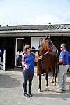 WEG-Endurance-8-24-14-4436-MegSleeper-SyroccoReveille-DDeRosaPhoto