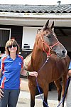 WEG-Endurance-8-24-14-4438-MegSleeper-SyroccoReveille-DDeRosaPhoto