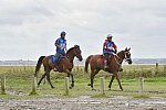 WEG-EnduranceRace-8-28-14-0002199-DDeRosaPhoto