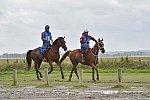 WEG-EnduranceRace-8-28-14-0002200-DDeRosaPhoto