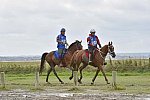 WEG-EnduranceRace-8-28-14-0002202-DDeRosaPhoto