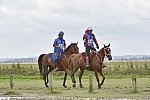 WEG-EnduranceRace-8-28-14-0002204-DDeRosaPhoto