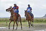 WEG-EnduranceRace-8-28-14-0002221-DDeRosaPhoto